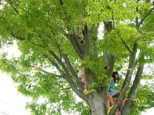 DSCN2501.JPG