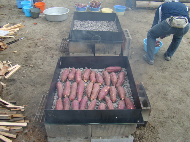 DSC00105.JPG