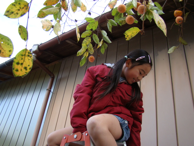 DSC01684.JPG