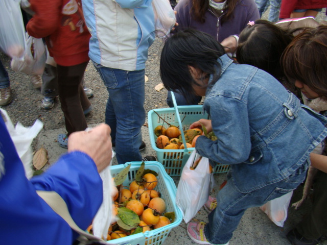 DSC01690.JPG