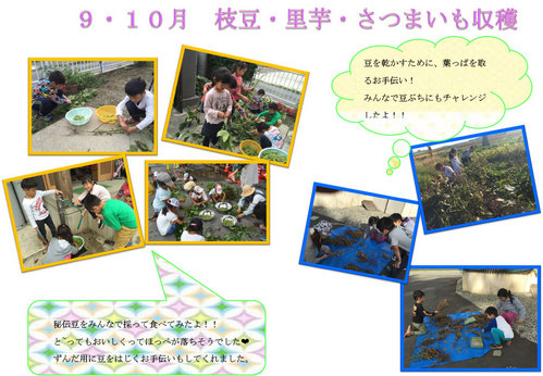 report2016_futaba05.jpg
