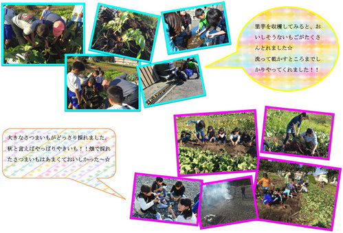 report2016_futaba06.jpg