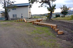 06.jpg