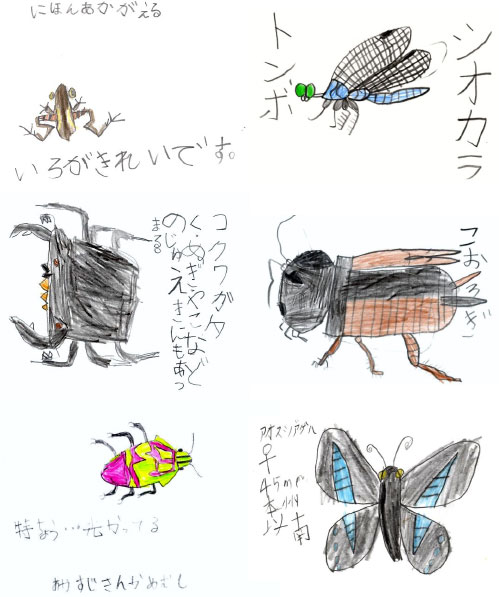 report_tokuriki04.jpg