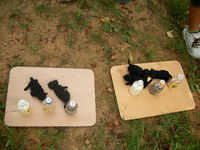 dairi_2-10.JPG
