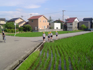 浅野児童館の周辺の田んぼ