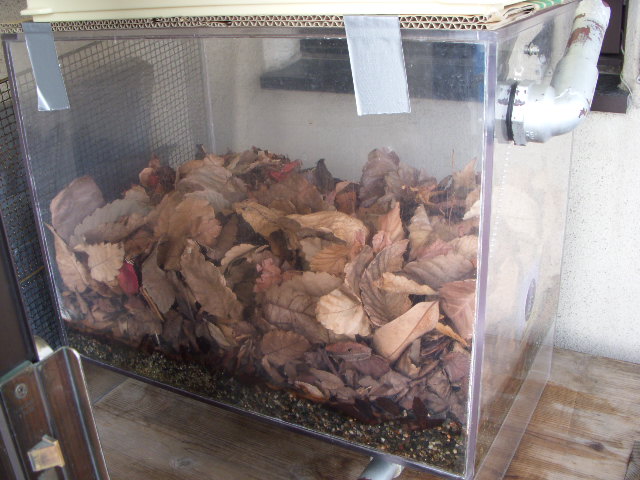 DSCN1225.jpg