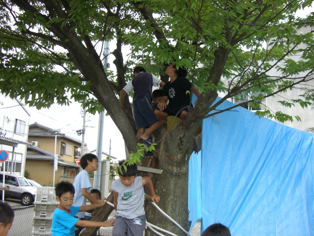 CIMG0358.JPG