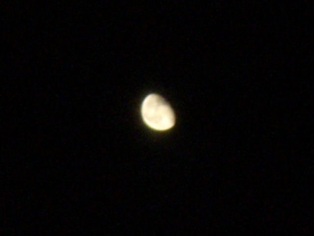 CIMG0406.JPG