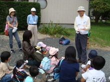 DSC00890.JPG
