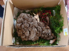 DSC01186.JPG