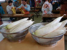 DSC01233.JPG