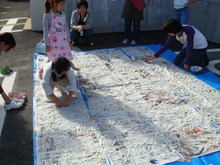 DSC01246.JPG