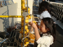DSC01732.JPG