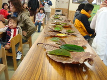 DSC01744.JPG