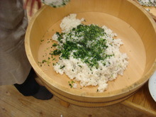 DSC01768.JPG