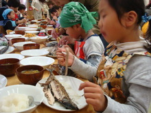 DSC01774.JPG
